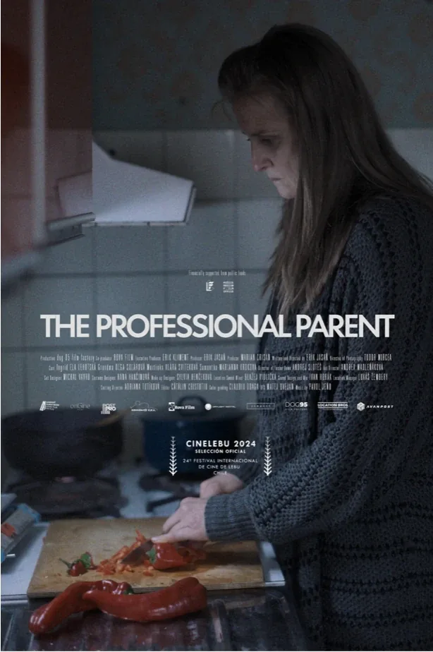 The Professional Parent poster